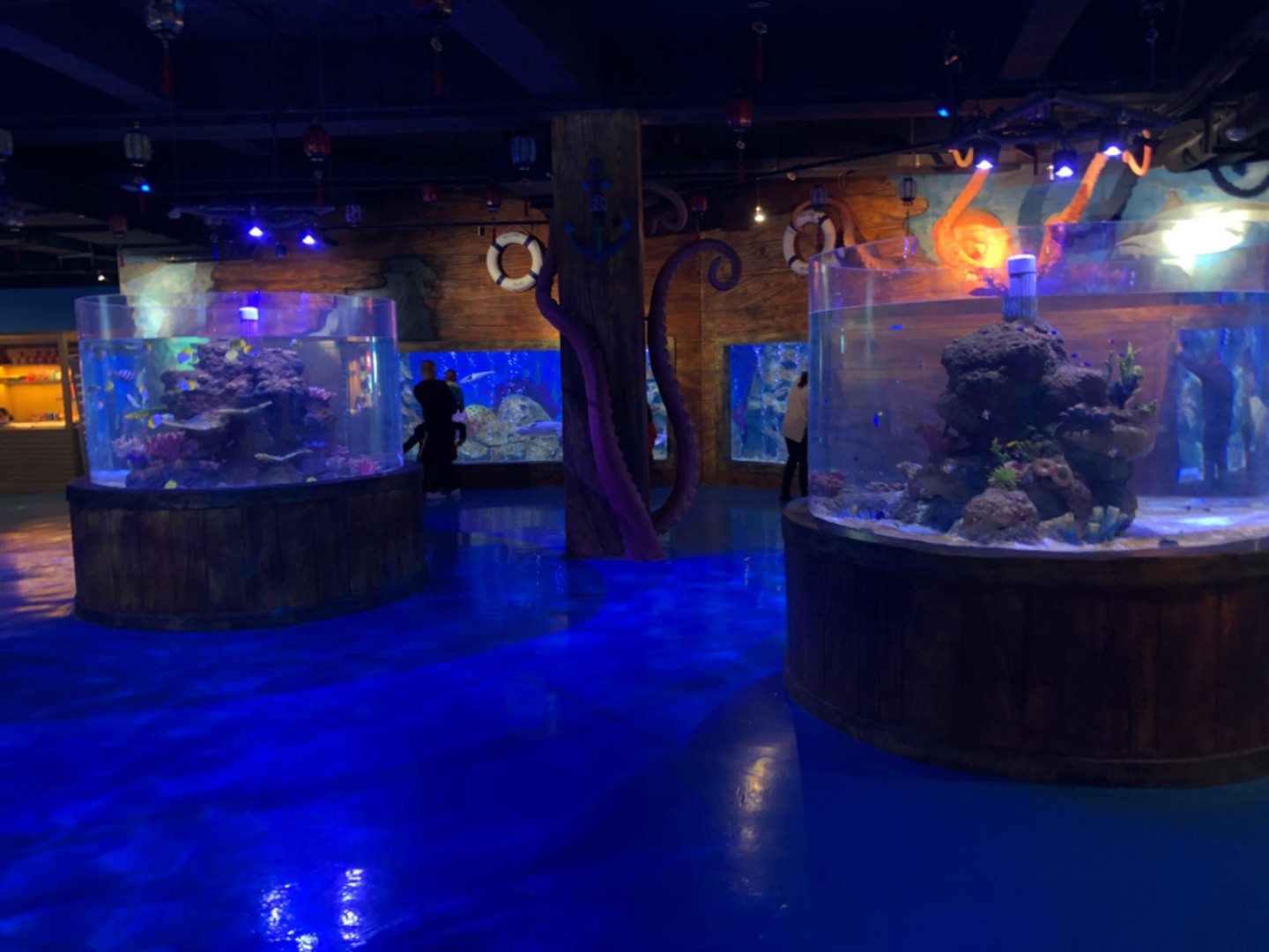 Akrilo žuvų tankų tanko gyvybės palaikymo sistemos įvedimas