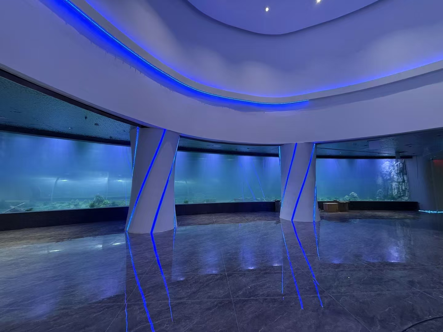 Kokie yra akrilo lapo pranašumai dideliuose akvariumo languose?